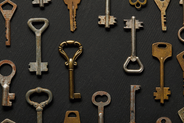 20 نکته سیر تا پیاز طوطی برزیلی (کوتوله): راهنمای جامع نگهداری