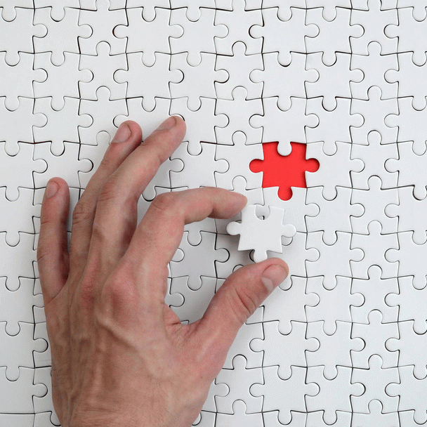 20 نکته سیر تا پیاز طوطی برزیلی (کوتوله): راهنمای جامع نگهداری