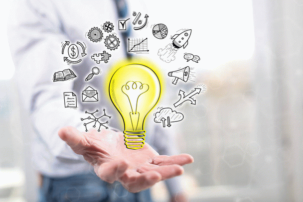 آموزش دست دادن به گربه: 12 نکته در 10 مرحله آسان